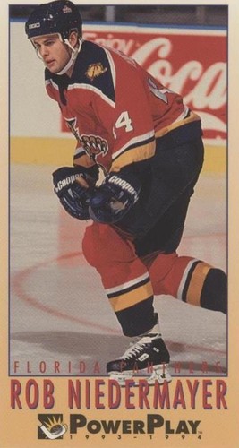 1993-94 Fleer Power Play - Rob Niedermayer #349