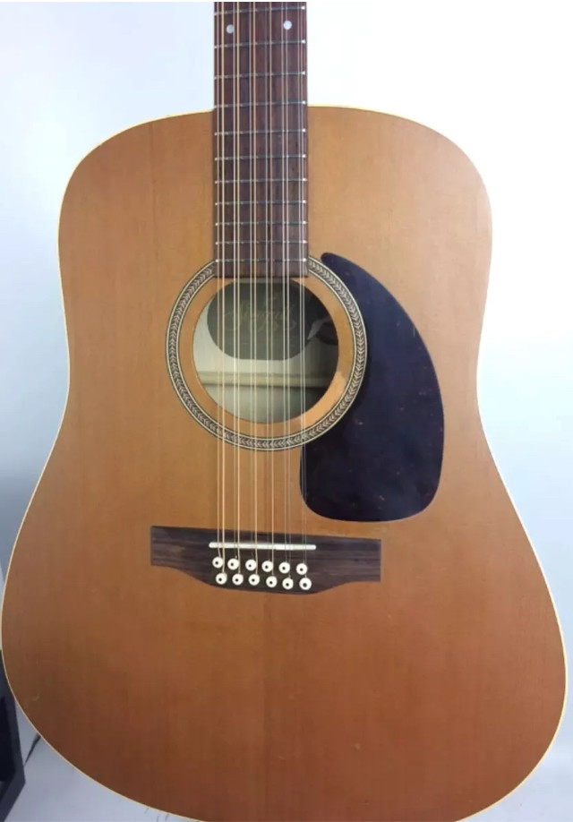 Seagull S12+ 12 string acoustic guitar Canadian made godin px possible