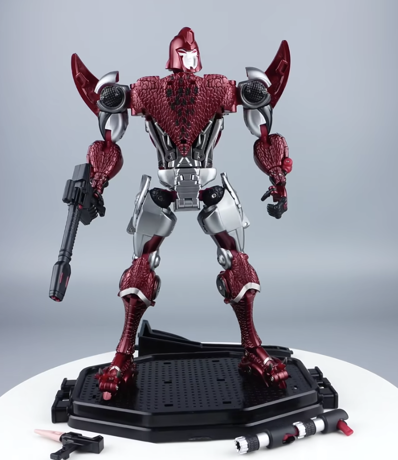 Megページ② 81gOJA2evzL._UF350,350_QL50_.jpg