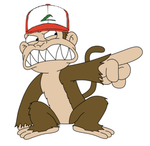monkey_carte_pokemon