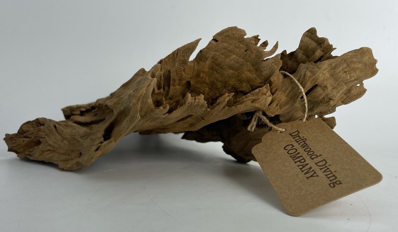 17x9” Cypress Driftwood Natural Aquarium Plant Art Unique Gift Idea