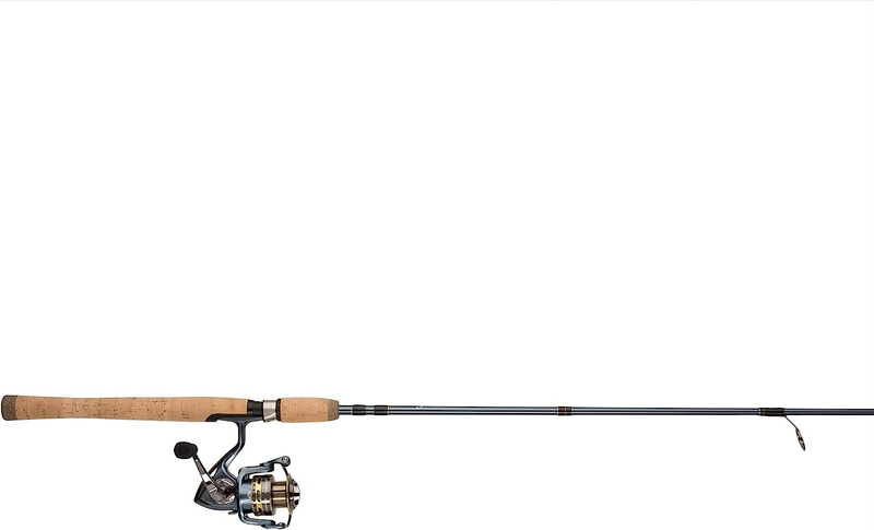 President Spinning Reel and Fishing Rod Combo
