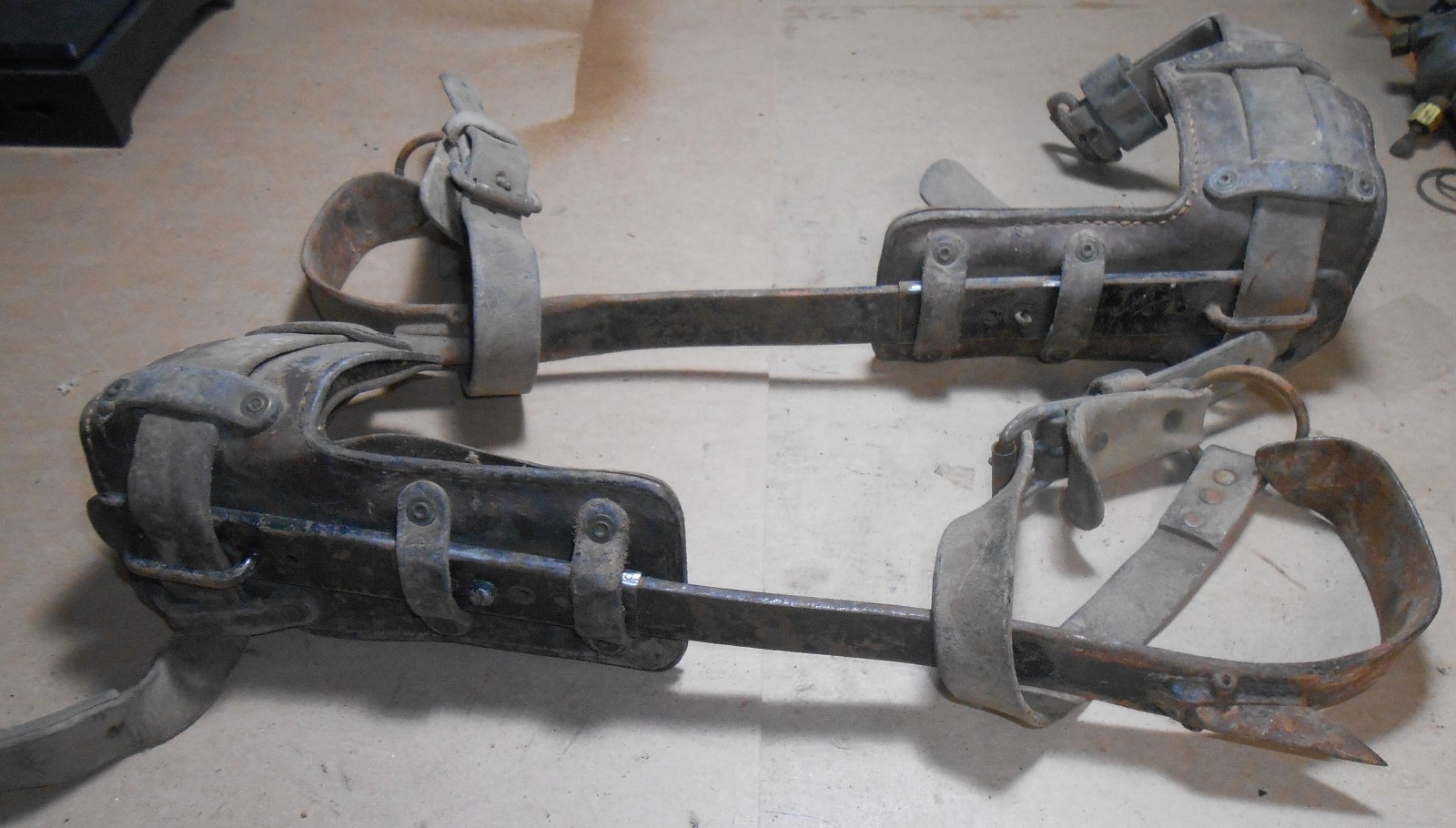 vintage Buckingham tree pole climbing spikes gaffs