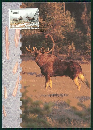 ALAND MK 2000 FAUNA TIERE ELCHE ELK MOOSE MAXIMUMKARTE MAXIMUM CARD MC CM er63
