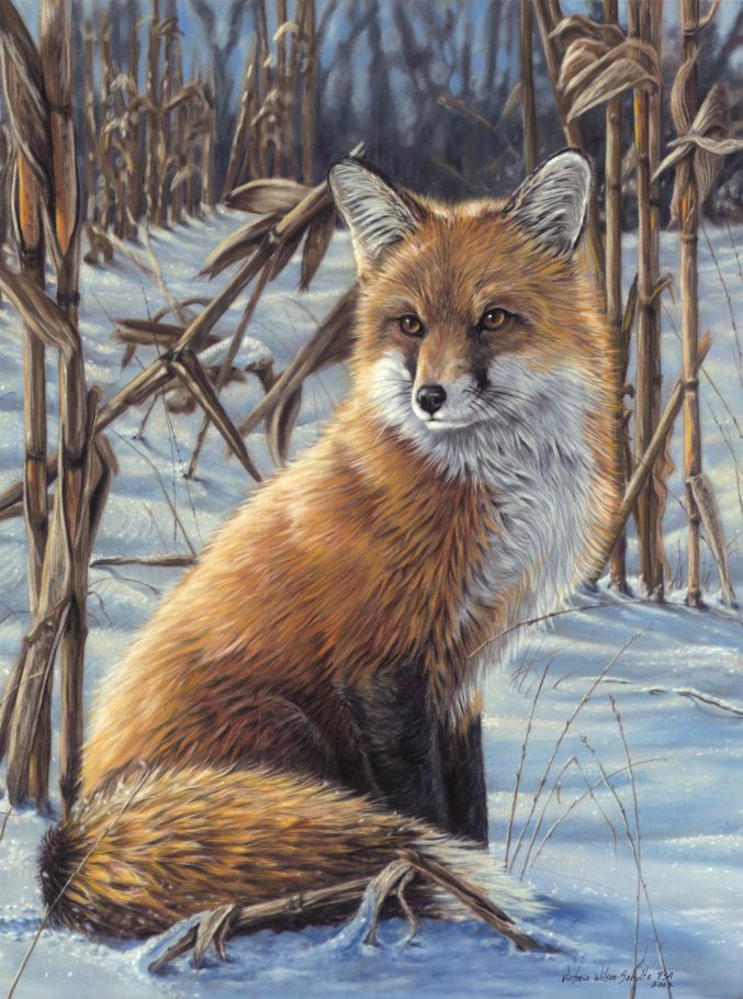 Fuchs - Malen nach Zahlen Vorlagen Mammut Motive Malvorlagen Tiere