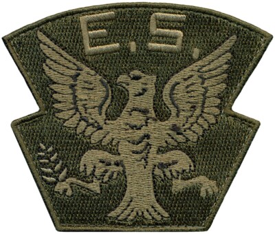 USAF 4th OPERATIONS GROUP   EAGLE SQUADRON HERITAGE OCP PATCH