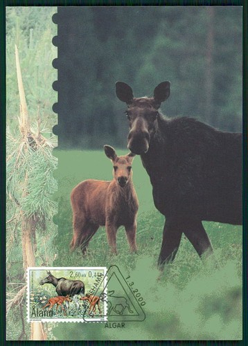 ALAND MK 2000 FAUNA TIERE ELCHE ELK MOOSE MAXIMUMKARTE MAXIMUM CARD MC CM er62