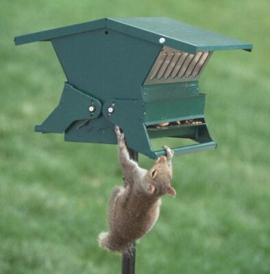 Heritage Farms Absolute Bird Feeder with Pole and Hanger 7536