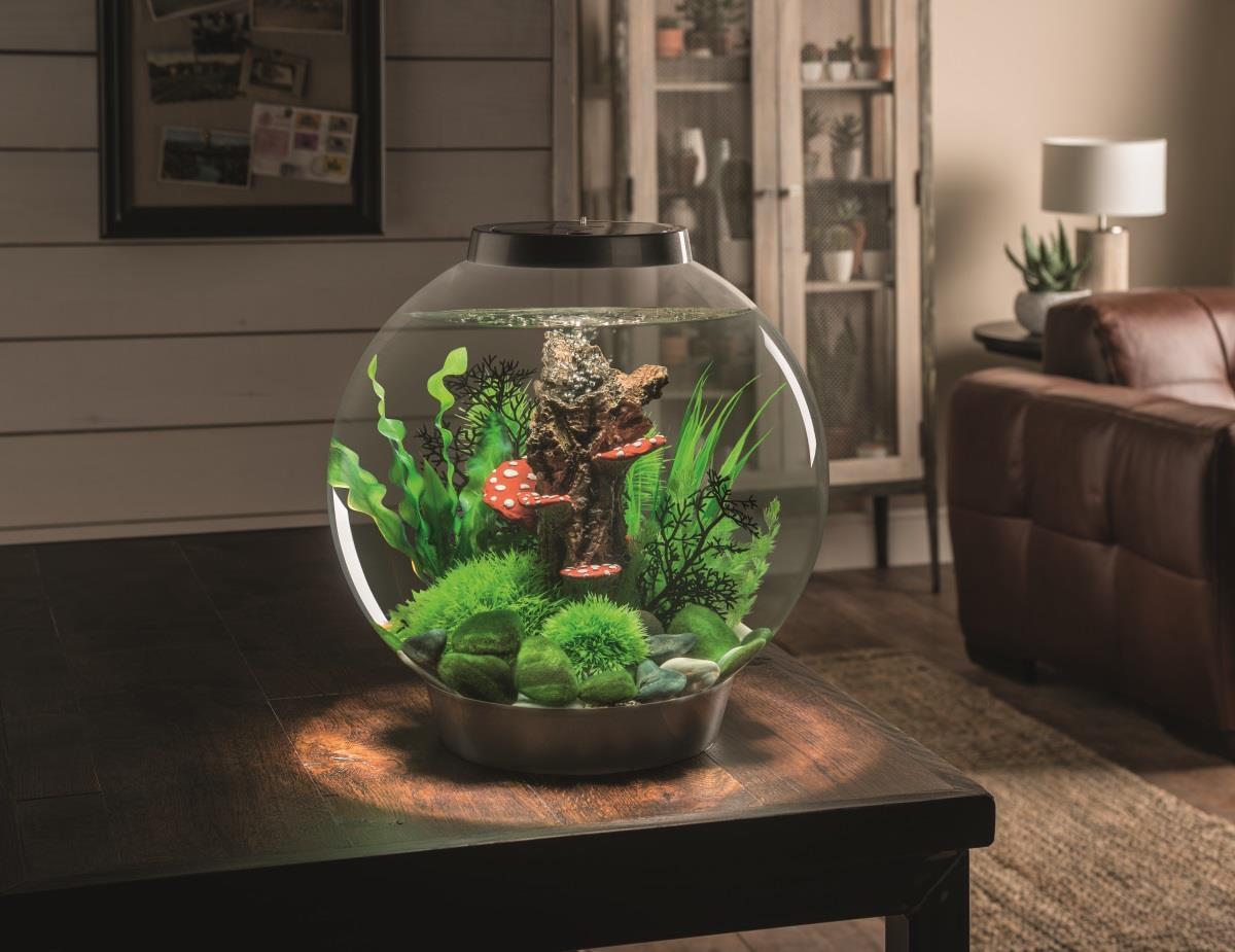 biOrb Nano-Aquarium Komplett-Set CLASSIC 30 MCR weiß | eBay