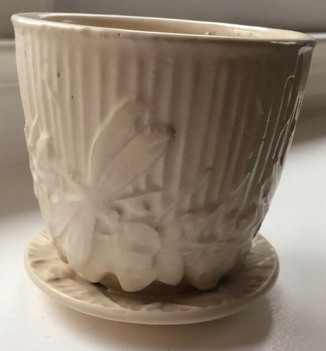 McCoy Medium Dragonfly Pot & Saucer - White