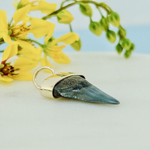 Fossil Short Fin Mako Tooth Solid 14k Yellow Gold Pendant, Newly Handcrafted ST3 - Picture 5 of 10