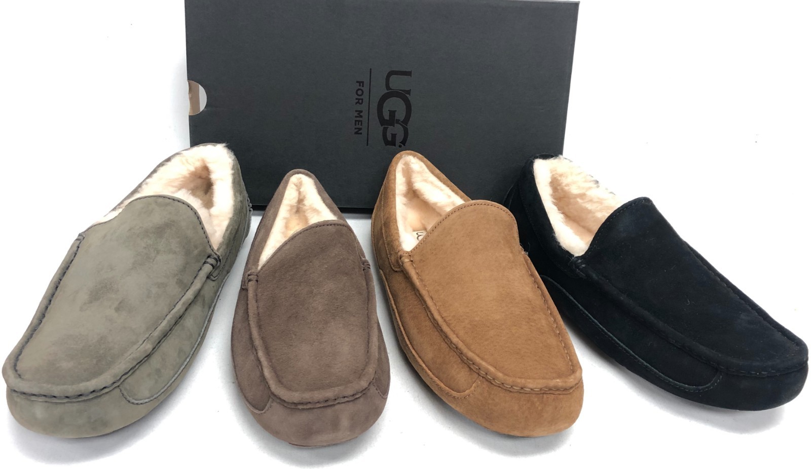 ugg ascot slipper grey