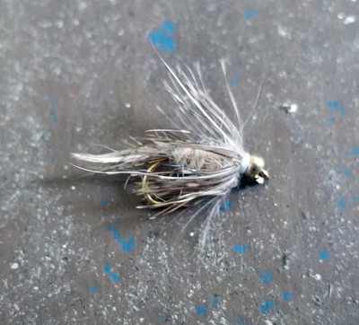 taille 14 BH Bead Head Minuit Pheasant Tail Nymph Fly Fishing Flies 2 mouches
