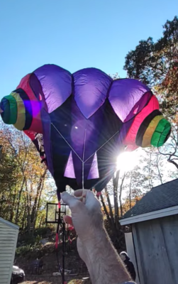 Photos de l'objet d'un acheteur vérifié