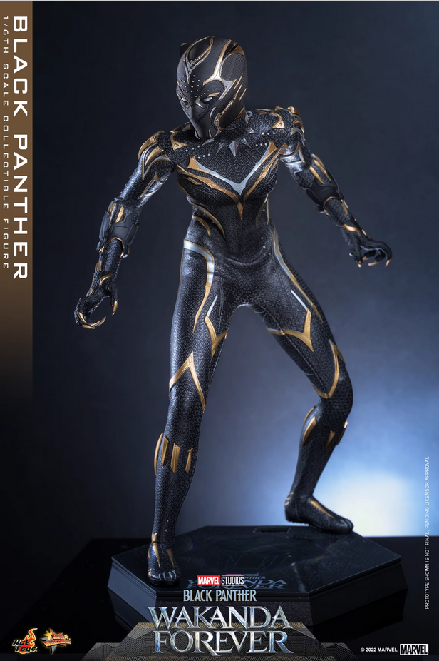 Hot Toys 1/6 MMS675 WAKANDA FOREVER BLACK PANTHER IN STOCK | eBay
