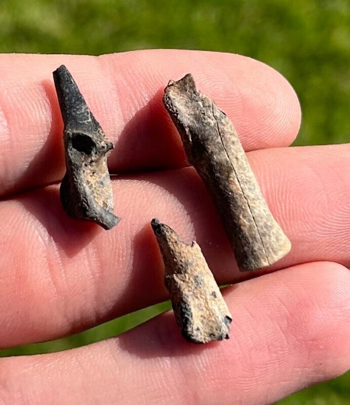 Fossil Bird Bones LOT OF 3 Avian Rare Pleistocene Florida Mammoth Age