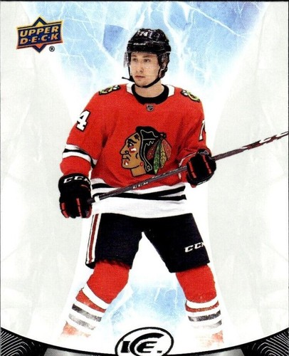 2021-22 Upper Deck Ice - Nicolas Beaudin #69