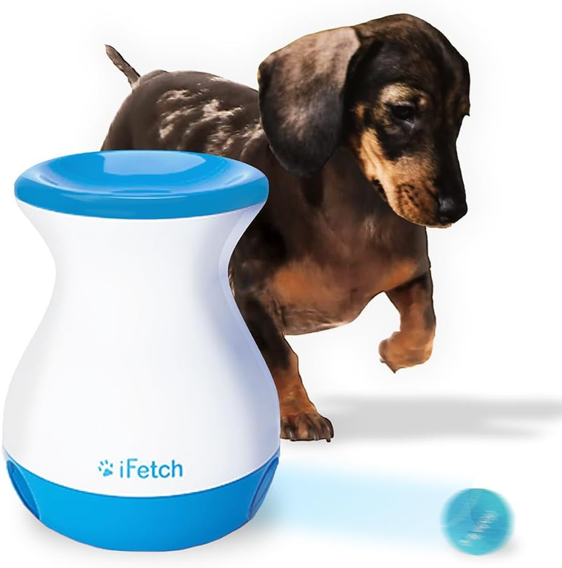 Dogs Fetching iFetch Best Frenzy Mini Ball Launcher Automatic Ball Thrower