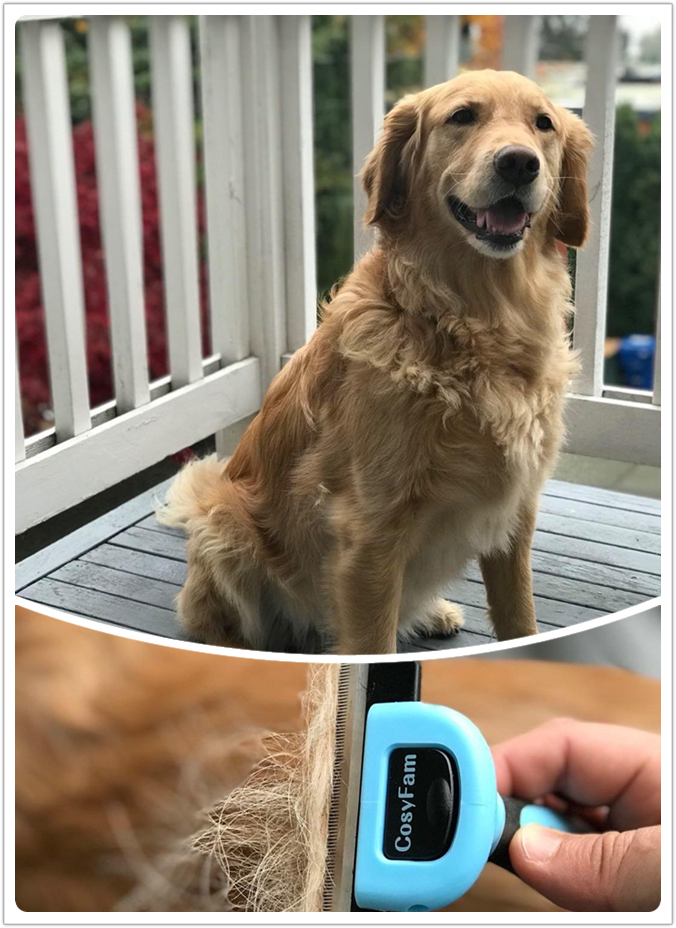 Dog Brush for Shedding Cat Grooming Tools LONG MEDIUM SHORT SMALL LARGE Hair PET