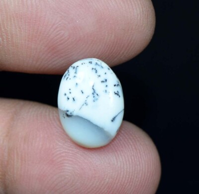 4.95 Cts. 100% Natural Dendrite Opal Oval Cabochon Flat Back Loose Gemstones