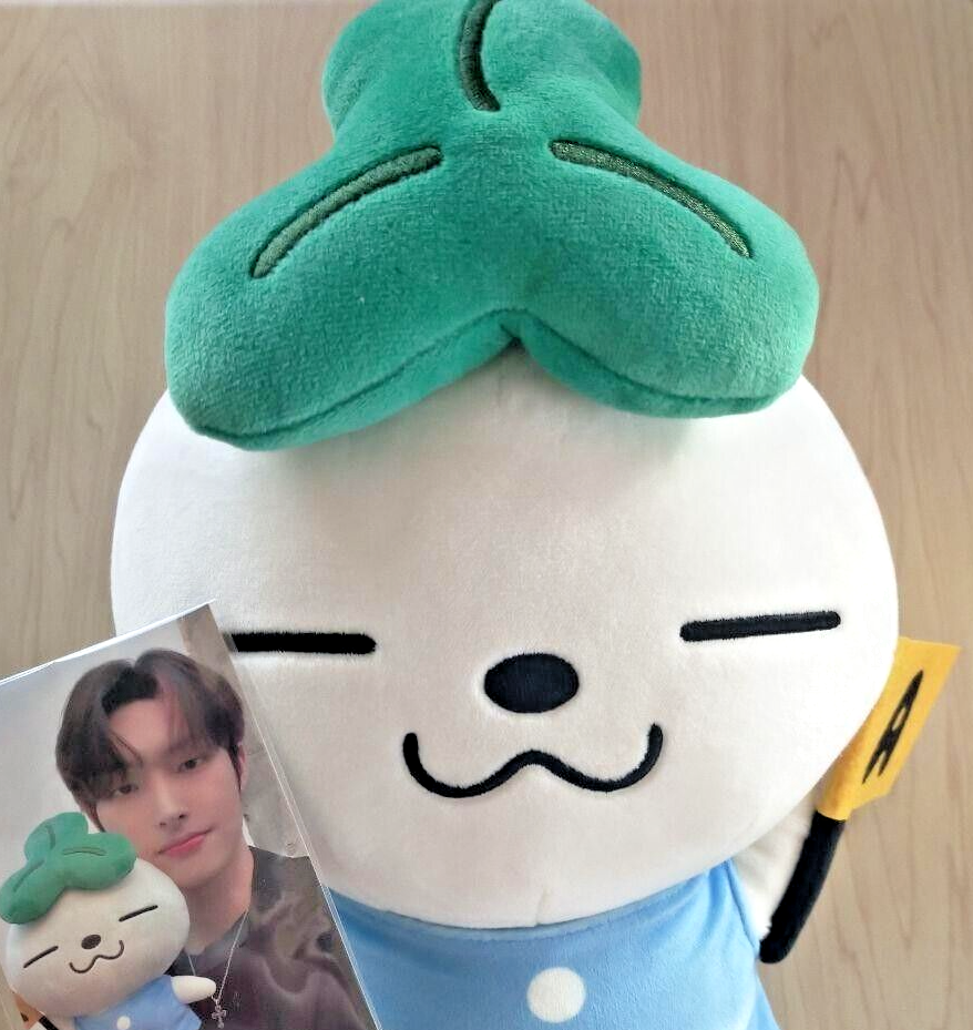 ATEEZ POPUP TEEZ-MON ホンジュン ぬいぐるみ トレカ セット Amazon.co.jp: ATEEZ teez-mon popup 限定 ぬいぐるみ トレカ