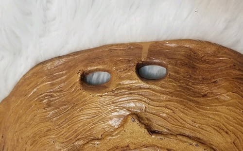 Vintage Souvenir Tray Bowl Wall Hanging Yellowstone National Park by Taco