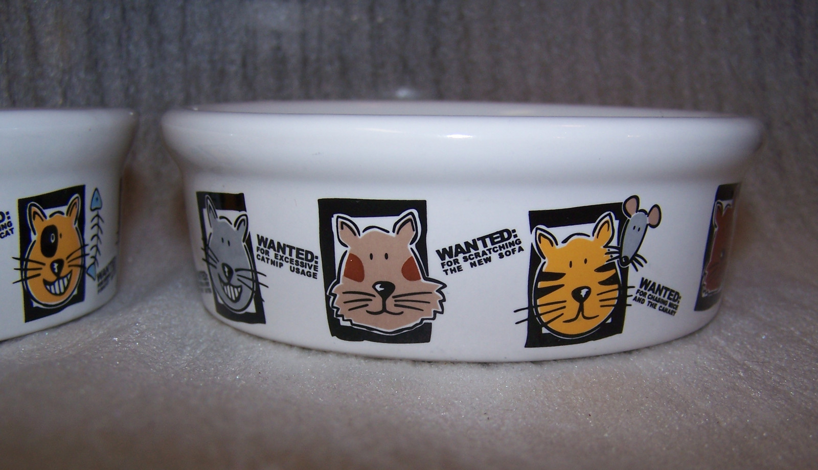 Wanted Mug Shots Cat Dish Signature Stoneware Pet Bowl