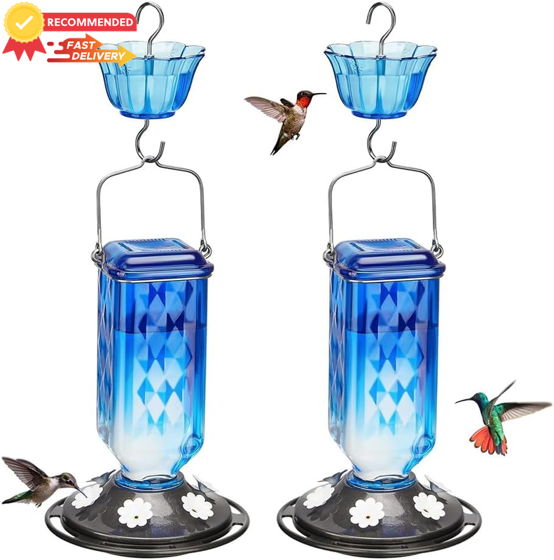 2 Pack Glass Hummingbird Feeder, 6 Ports, Ant-Proof, Garden Decor