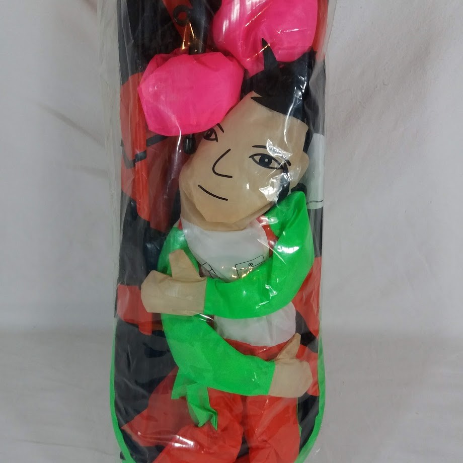 The Kite Factory Extreme Skateboarder HUGE Kite New in Package 3 Foot 3D