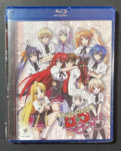 ハイスクールD×D NEW High School DxD New born Precious Memories/High School DxD BorN 1.0]姫島 朱乃 01-045