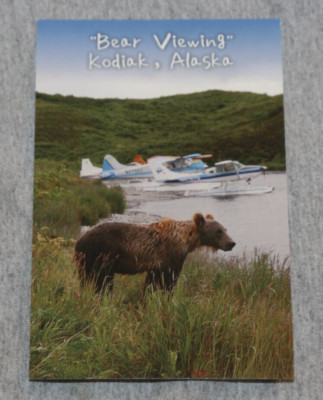 Postcard: Bear Viewing by Seaplane in Kodiak, Alaska