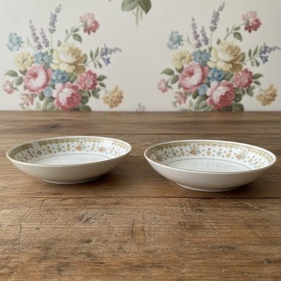 Garden Bouquet Fine China Berry Bowls, Set of 2, Vtg Floral Porcelain Dinnerware