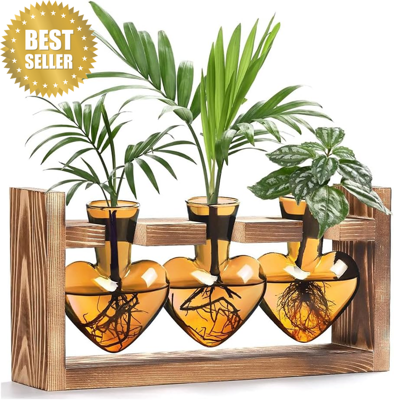 Heart-Shaped Terrarium Triple Glass Plant Display Case