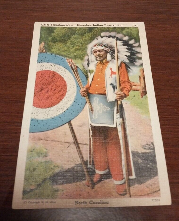 Vintage Postcard Chief Standing Deer Cherokee Reservation North Carolina
