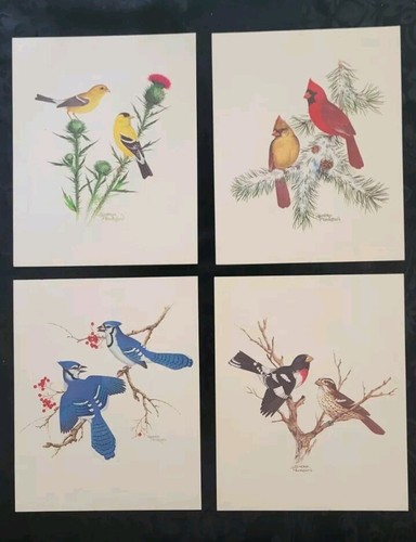 アート・デザイン・音楽 CLASSIC NATURAL HISTORY PRINTS BIRDS