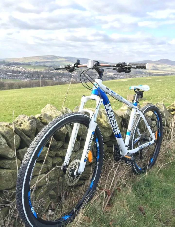 whistle patwin 1483d mountain bike