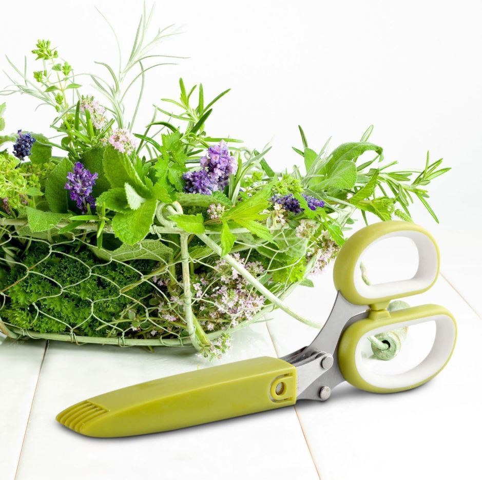 NEW Orblue Culinary Herb Scissors Multi Blade Shredder, 5 3-inch Blades - Green