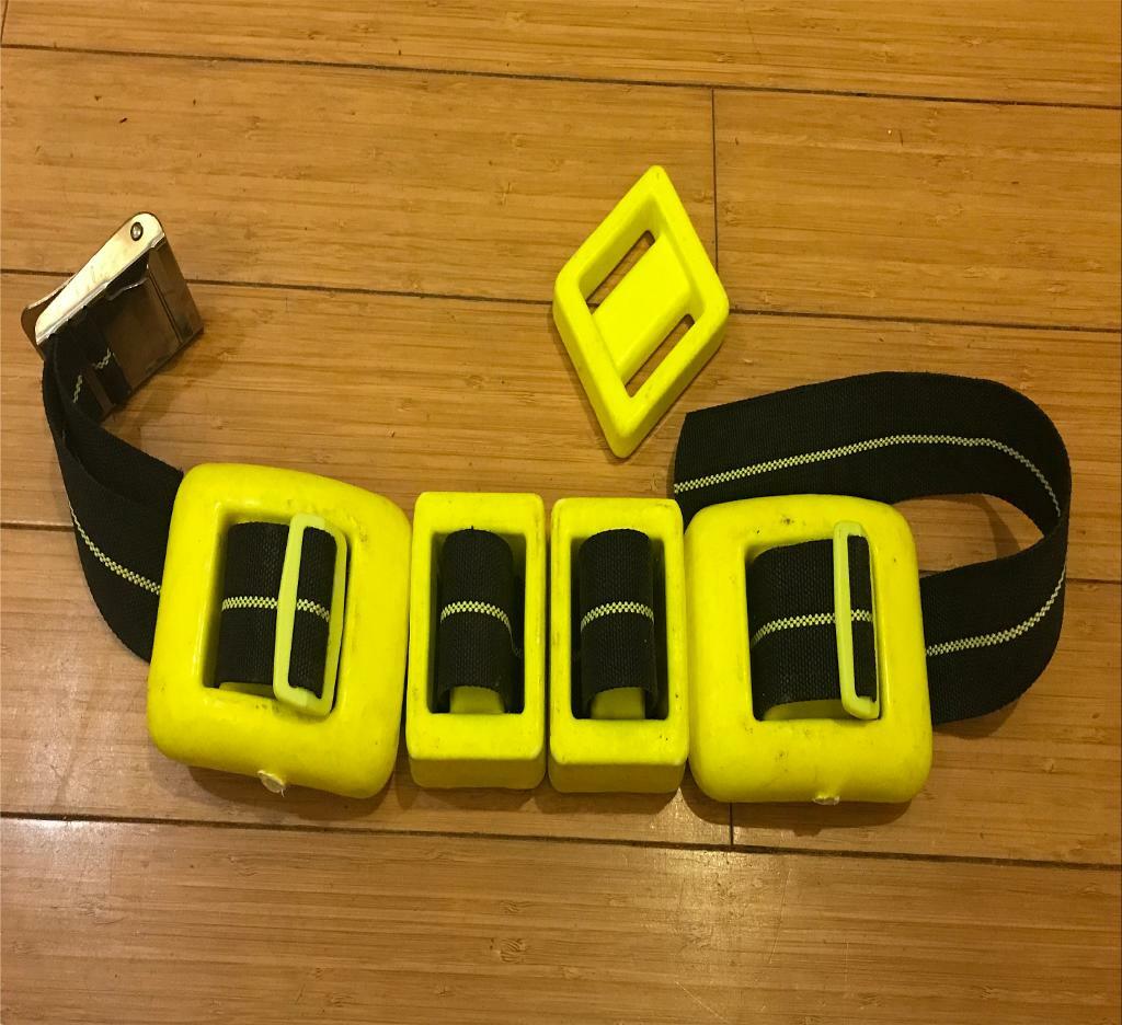 Diving Weight Belt Coated Lead Weights in Dawlish, Devon Gumtree
