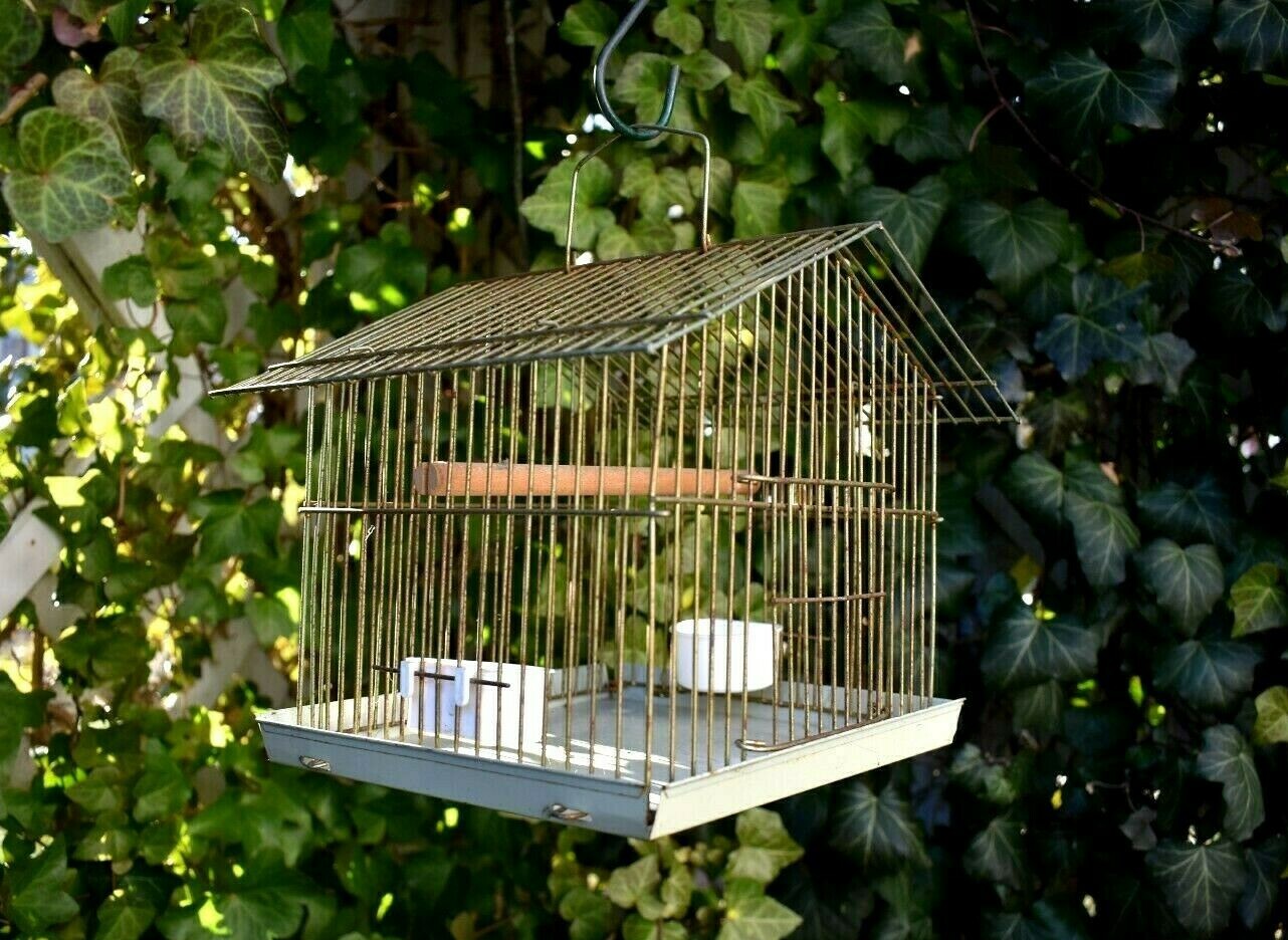 Bird Cage Brass VINTAGE Uniquely SMALL Set-up For Finch Sparrow Hang or Stand