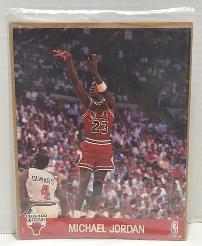 PSA10 2枚セット マイケル ジョーダン / Jordan NBA マイケルジョーダン 2枚セット NBA PSA10 2枚セット マイケル