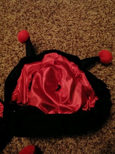 Dog Ladybug Costume Outfit Halloween Anytime Size Large 18