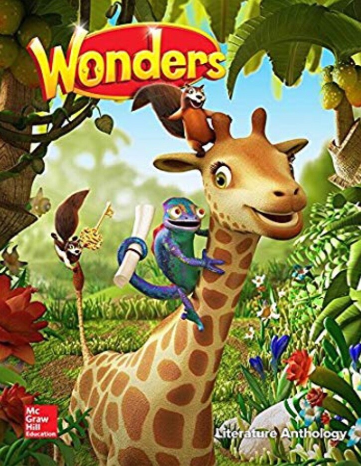 Reading wonders. Mcgraw wonder skills reading.