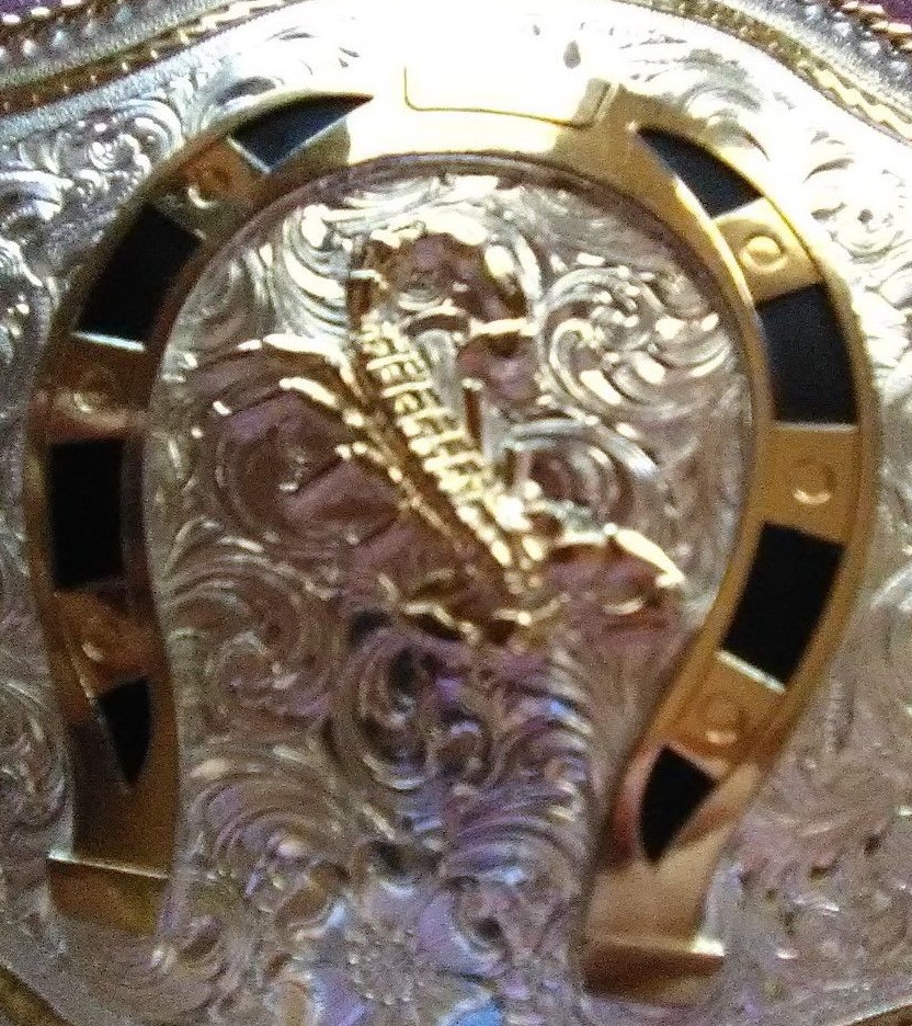 Montana Silversmiths - Silver Plated Belt Buckle