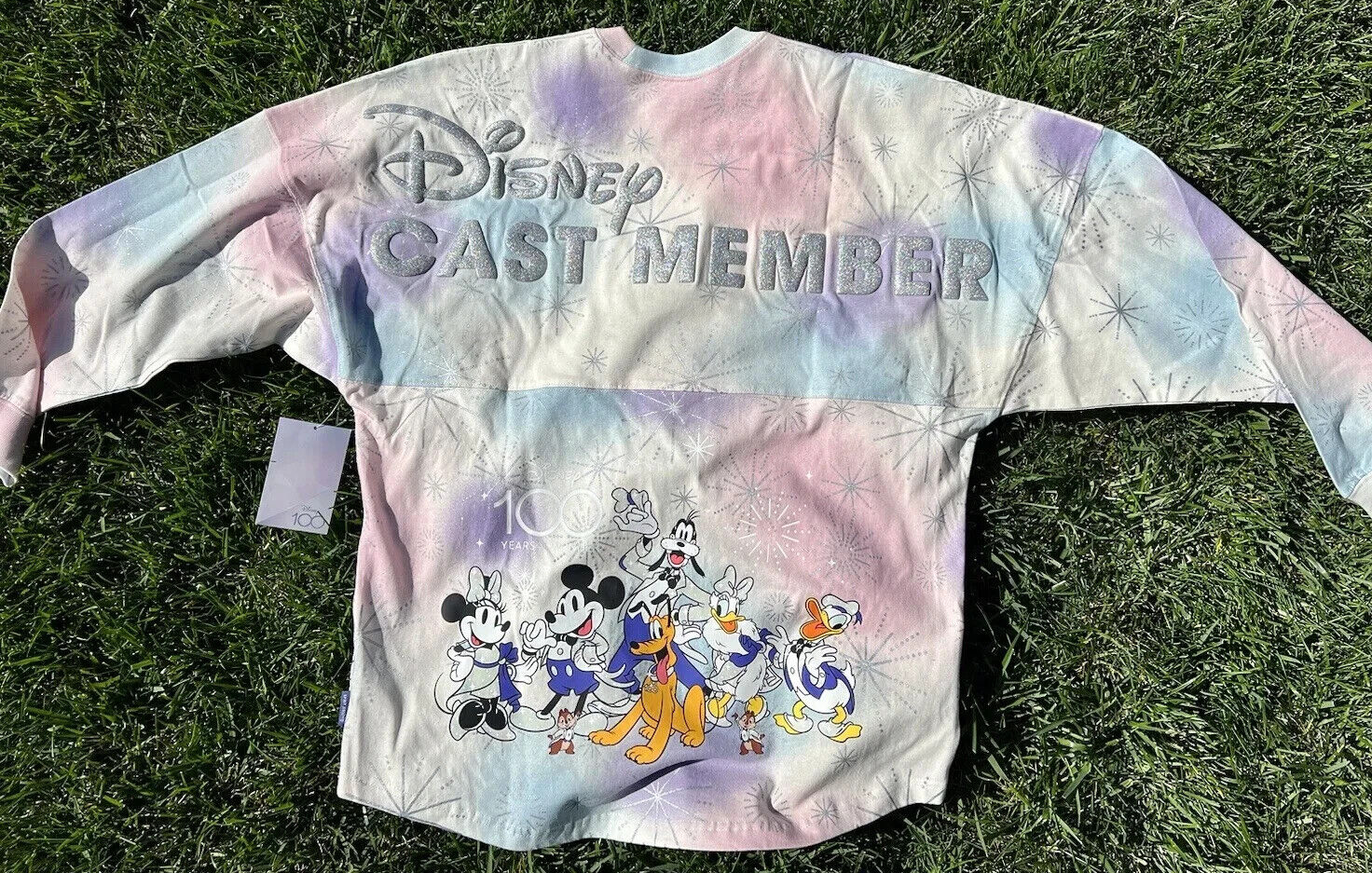 Disney Parks 100th Anniversary Cast Member Spirit Jersey