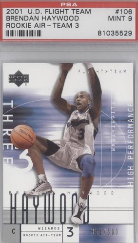 2001-02 Upper Deck Flight Team - Brendan Haywood #106