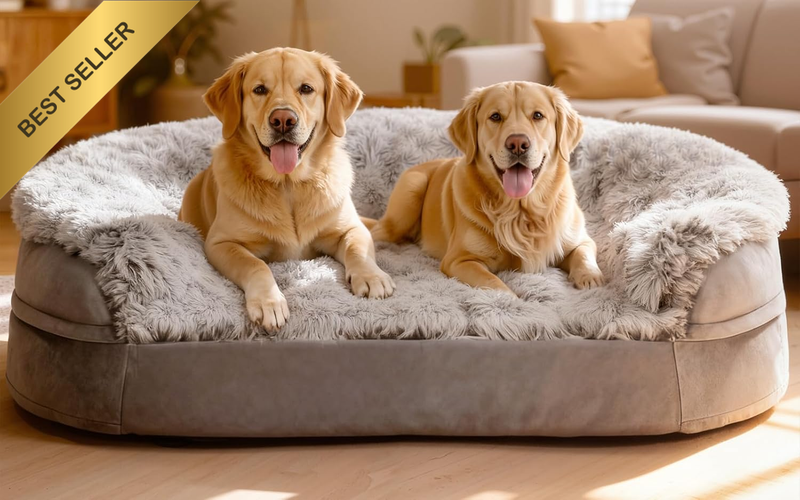 Stormhero Large Orthopedic Dog Bed - XL Dog Sofa Beds for Medium Large Dogs 121