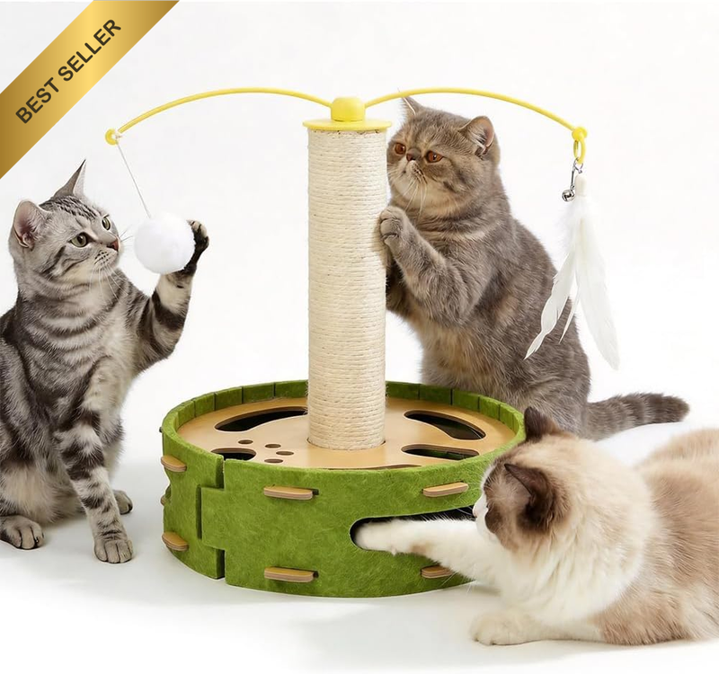 Cat Scratching Puzzle Box Interactive Toy with Wand Ball Track | Natural Sisal S