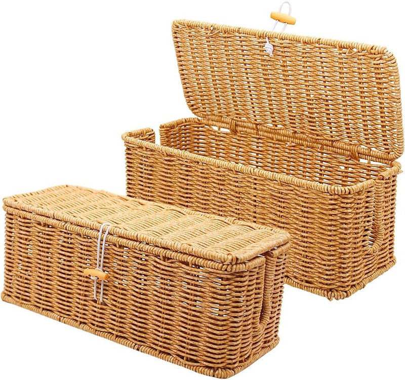 2 Piece Cable Management Box, Handwoven Rattan Power Strip Storage Organizer, Du