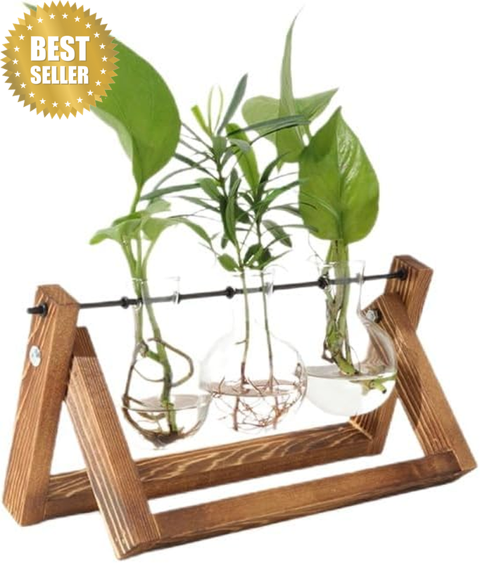 Plant Propagation Station, Glass Propagation Station with Wooden Stand, 3 Bulb V