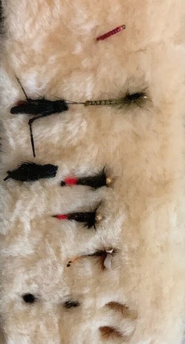Fly fishing, Flies And Case From LL Bean. Never Used